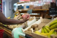 top stocks for short term