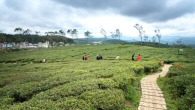 emerging opportunities exploration