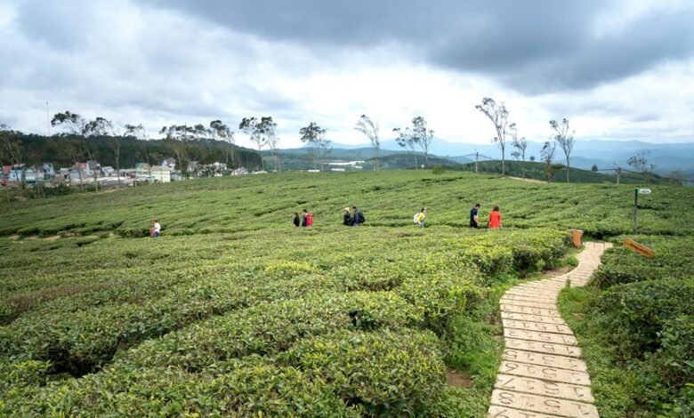 emerging opportunities exploration